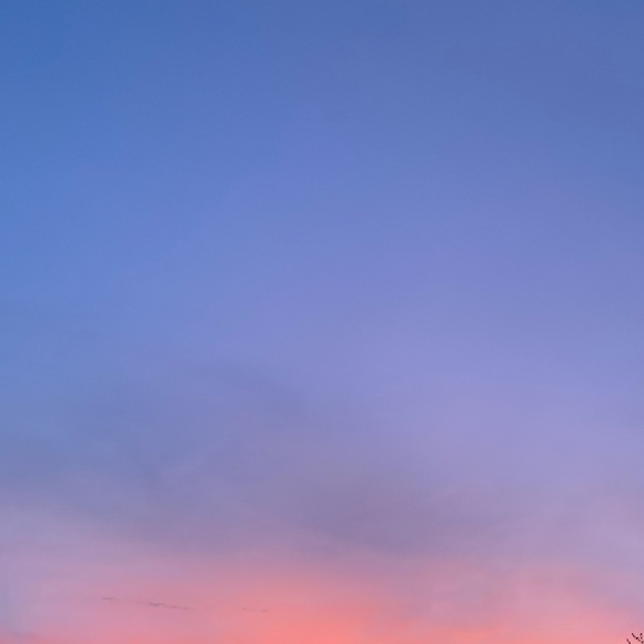 Meet your Posher, Sabrina - Picture 1 of 1